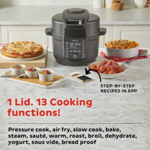 Instant Pot 6.5 Quart Duo 13-in-1 Air Fryer and Pressure Cooker Combo